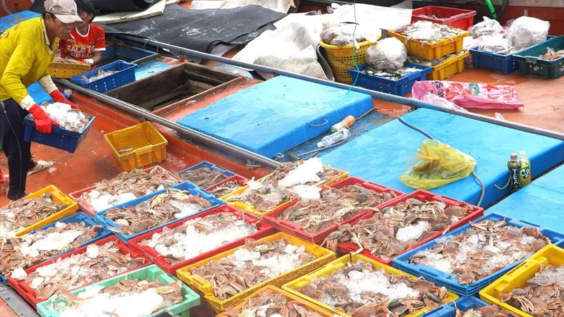 Ngư dân lo mất thị trường