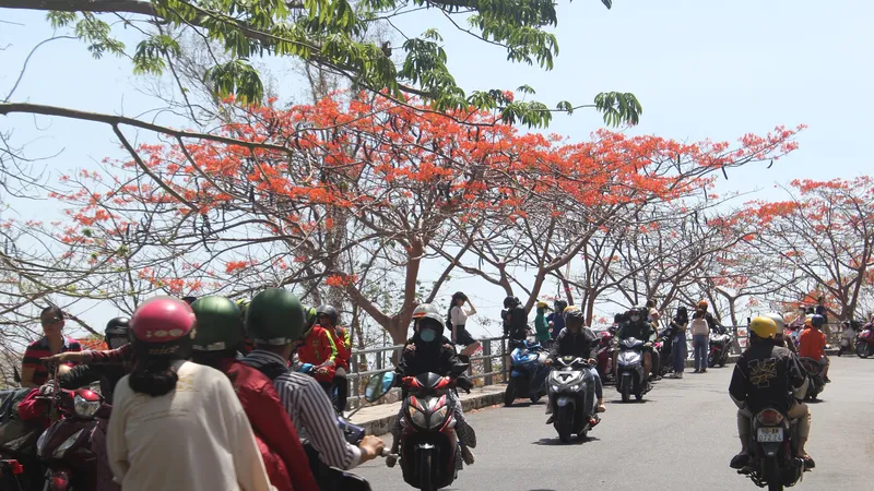 Vũng Tàu cấm tắm biển, du khách kéo nhau lên núi chụp hình