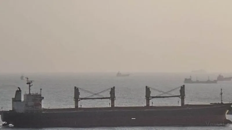 Bà Rịa – Vũng Tàu: 5 thuyền viên tàu nước ngoài dương tính với SARS-CoV-2