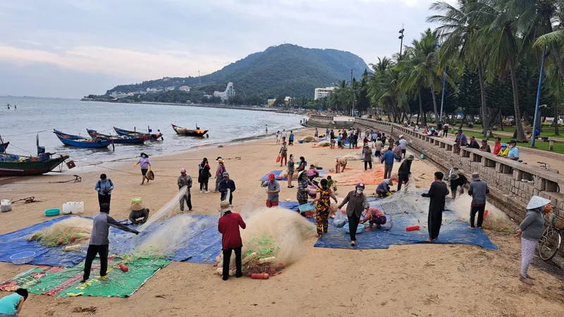 Ngư dân Vũng Tàu trúng đậm mùa cá mai