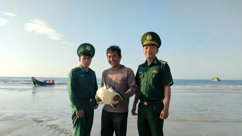 Ngư dân cùng lực lượng biên phòng Bà Rịa - Vũng Tàu thả đồi mồi quý hiếm về biển