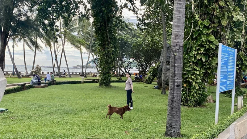 Vô tư thả rông chó ngay công viên Tam Giác (khu vực Bãi Trước, phường Vũng Tàu) nơi có hàng ngàn người dân và khách du lịch ghé thăm mỗi ngày
