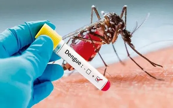 Sốt xuất huyết Dengue khiến nhiều ca bệnh tử vong. Ảnh minh họa