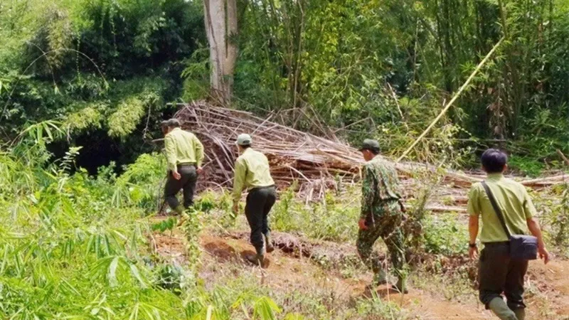 Công tác tuần tra bảo vệ rừng ở Đồng Nai