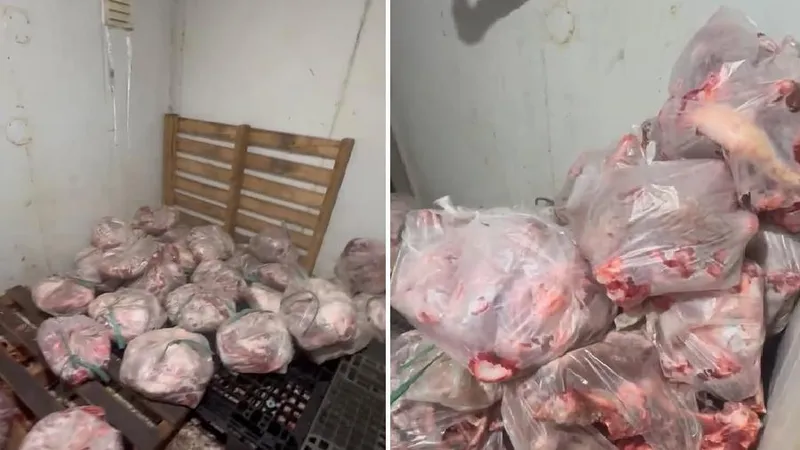 Thịt heo nghi nhiễm bệnh bốc mùi hôi được cấp đông để chuẩn bị tuồn ra thị trường tiêu thụ. Ảnh: CAĐN