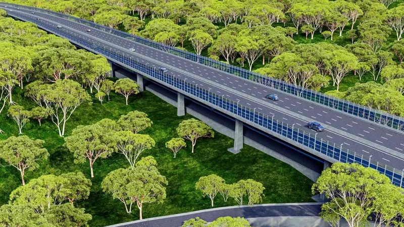 Phối cảnh dự án đường kết nối cầu Mã Đà đến Vành đai 4 - TPHCM. Ảnh: NĐTCC