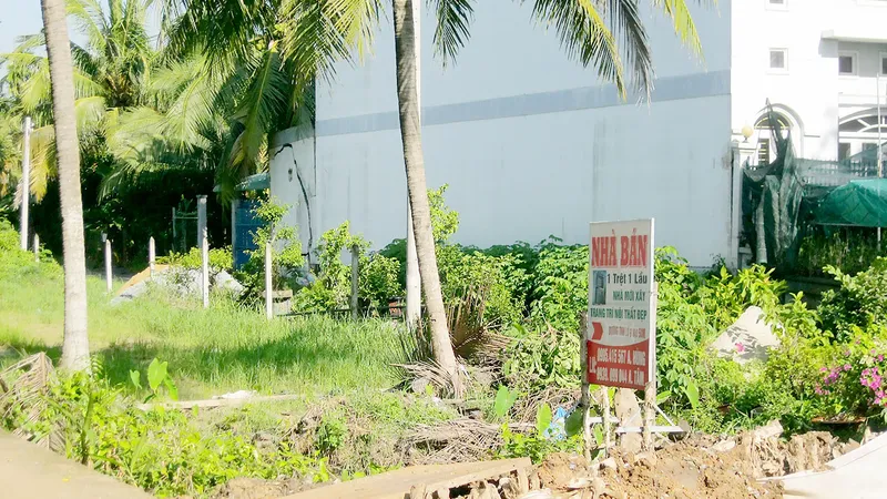 Đất nền hạ nhiệt