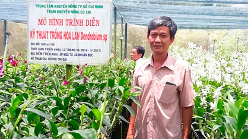 Thu nhập hơn 15 triệu đồng/tháng từ vườn lan Denrobium