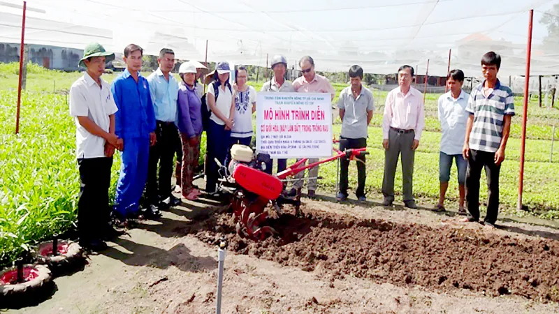 Xây dựng vùng rau an toàn