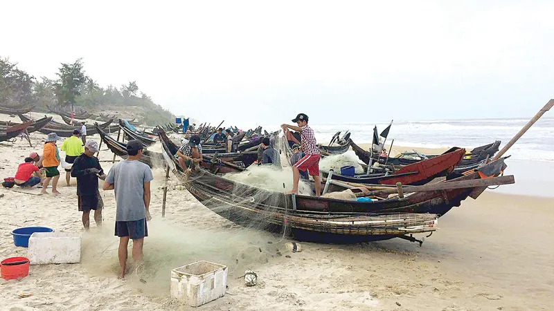  Ngư dân phải đưa cả lưới lên bờ nhờ người gỡ cá khoai
