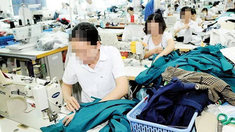 Xuất khẩu dệt may của Ấn Độ sang Việt Nam gia tăng