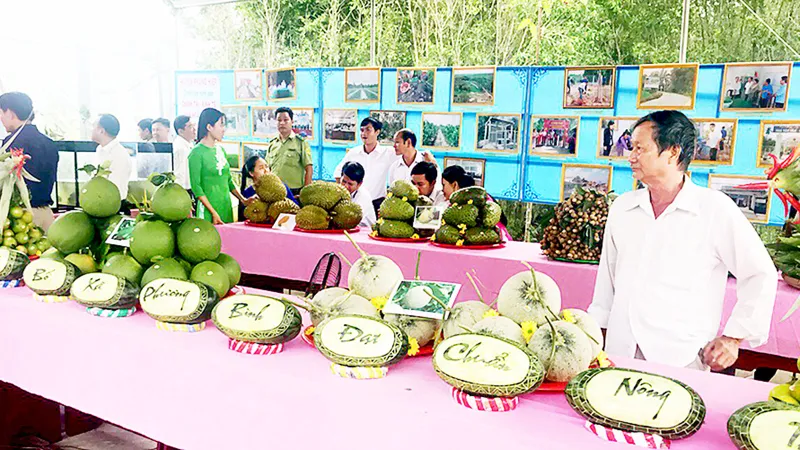Sức sống mới từ nông thôn mới