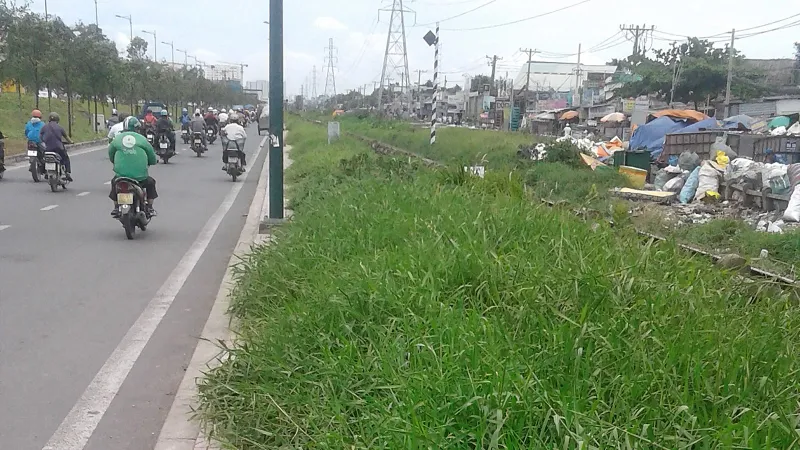 Vỉa hè thành bãi cỏ hoang