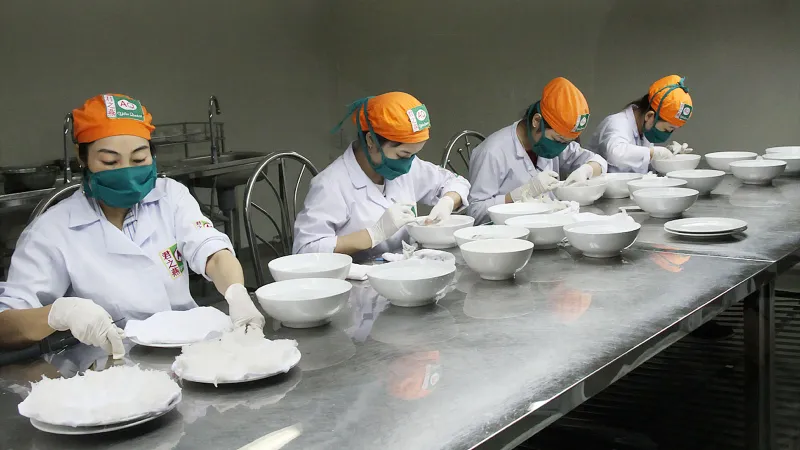 Nghề nuôi yến “5 ăn - 5 thua” 