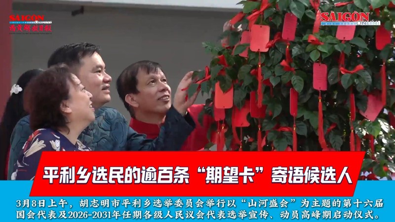  平利乡选民的逾百条“期望卡”寄语候选人