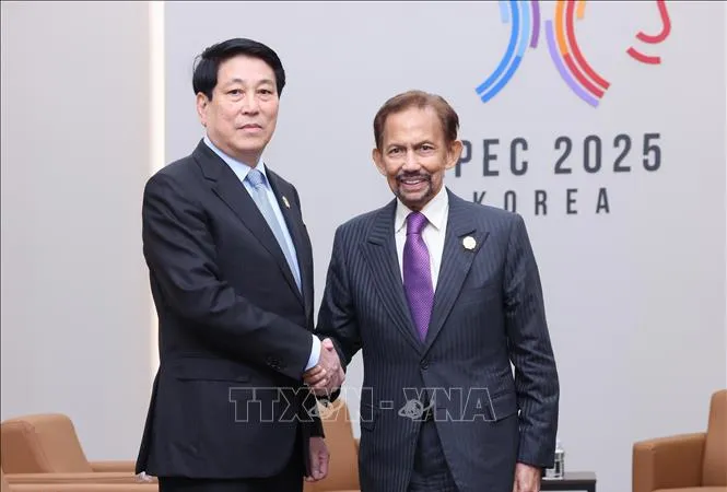 Chủ tịch nước Lương Cường gặp Quốc vương Brunei Hassanal Bolkiah. Ảnh: TTXVN
