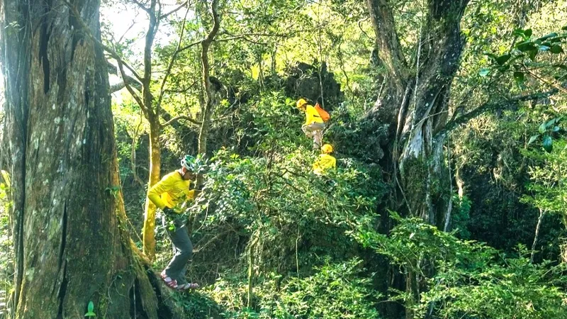 Quần thể hang động triệu năm vừa thức giấc ở Quảng Trị