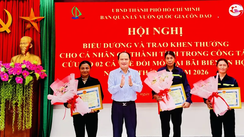 Giải cứu 2 cá thể đồi mồi quý hiếm, 3 nữ công nhân tại Côn Đảo được khen thưởng
