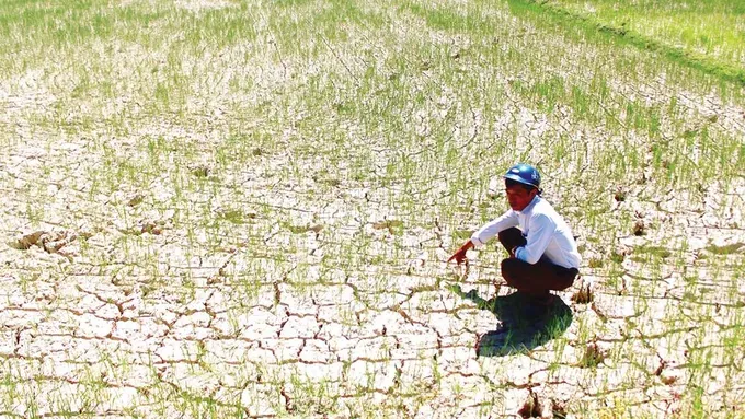 El Nino đã xuất hiện, dự báo rất mạnh ở Việt Nam