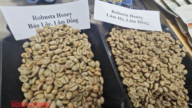 1月22日咖啡价格大幅上涨。