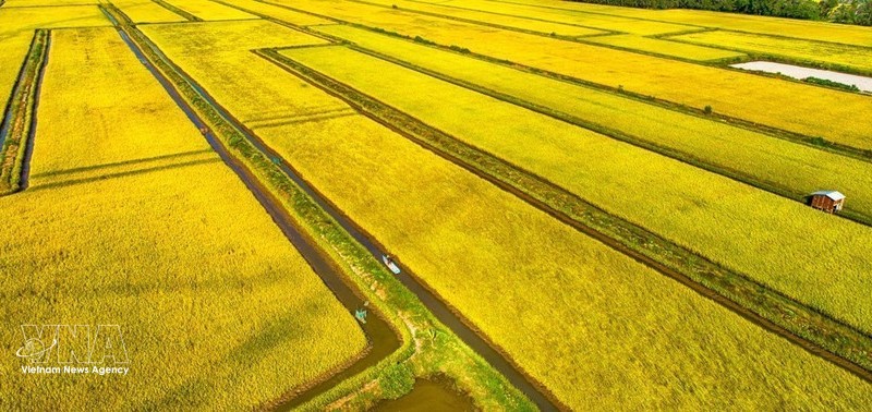 政府总理范明政签发第21号《通知》 部署新形势下稻米生产与销售调控工作