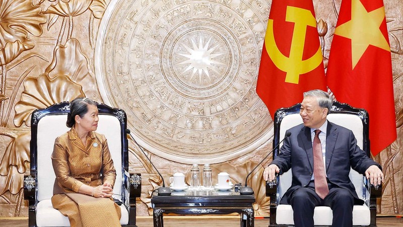 苏林总书记会见柬埔寨祖国发展团结阵线国家委员会代表团