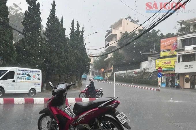 林同省出现一场降温的“黄金雨”