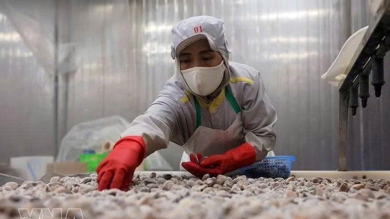 越南前5个月农林水产品出口增幅超9%