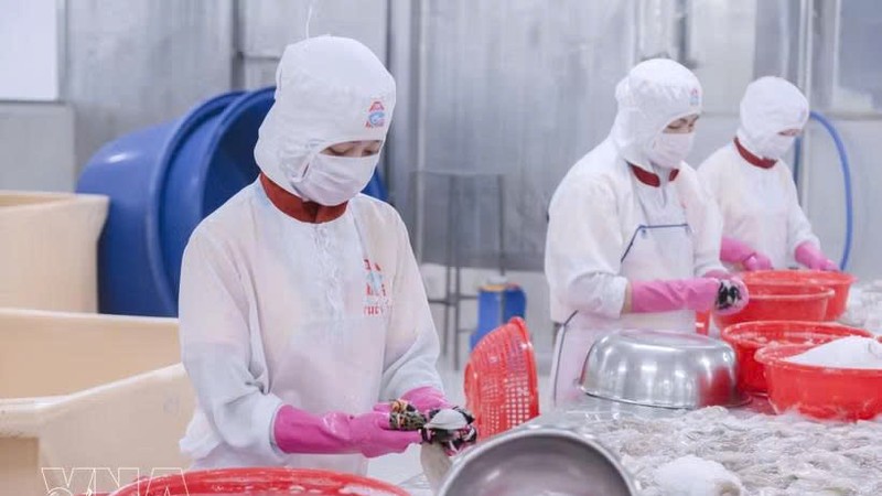 越南水产品积极巩固美国市场份额