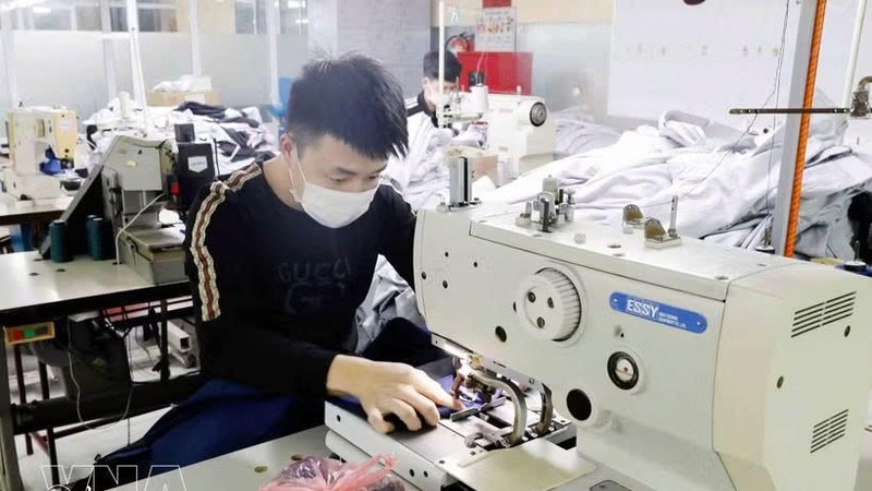 兴安省兴越制衣公司生产出口日本市场的服装产品。图自越通社