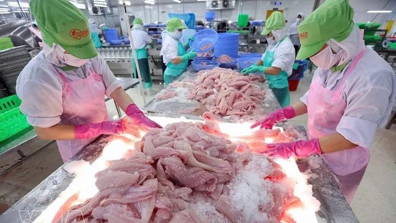 越南水产品出口保持增长势头 但挑战日益凸显