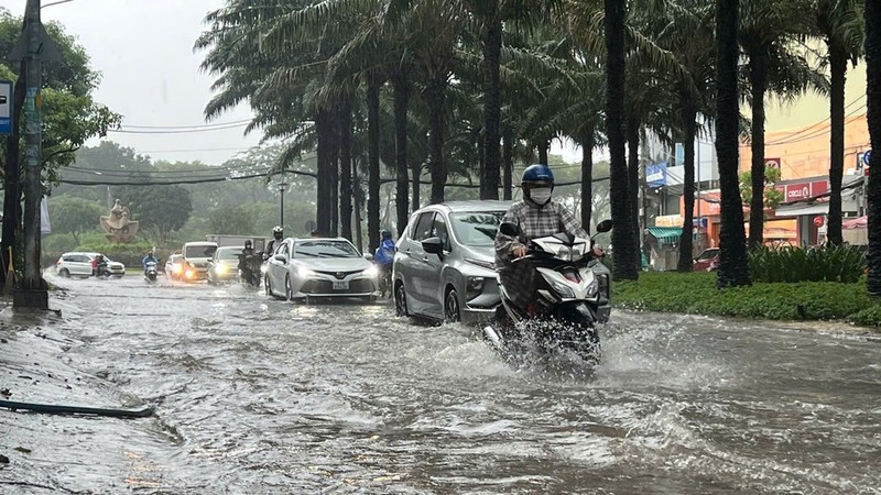 近日，胡志明市大雨致平兴乡中山居民区9A路受淹。图:国雄