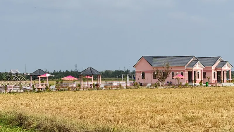 Công trình xây dựng không đúng quy định của Công ty TNHH Phát triển đầu tư Kim Loan Quê Tôi. Ảnh: TUẤN QUANG