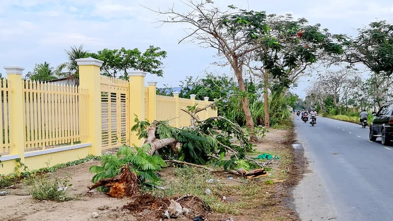 Cây phượng bật gốc đè chết nữ điều dưỡng