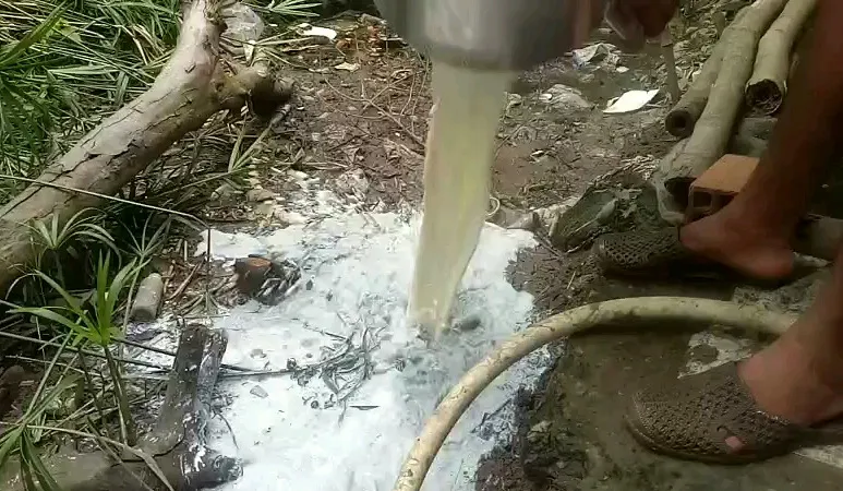 Xót xa cảnh nông dân nuôi bò sữa mang sữa đi đổ bỏ