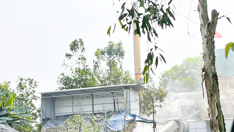 Phạt Công ty Sông Hậu 50 triệu đồng liên quan đến lĩnh vực môi trường