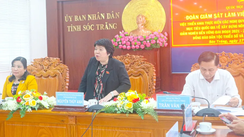 Chủ nhiệm Ủy ban Xã hội của Quốc hội Nguyễn Thúy Anh phát biểu tại buổi làm việc