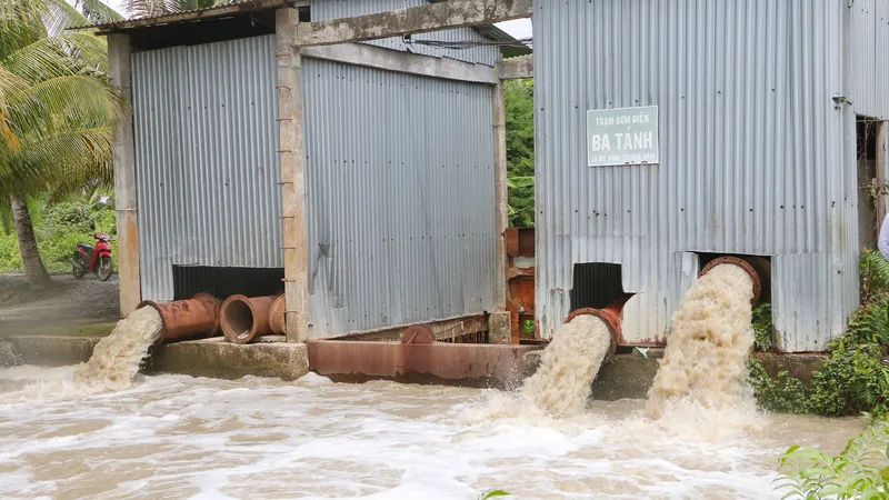 Tập trung bơm thoát nước để cứu hàng trăm ha lúa hè thu đang thu hoạch