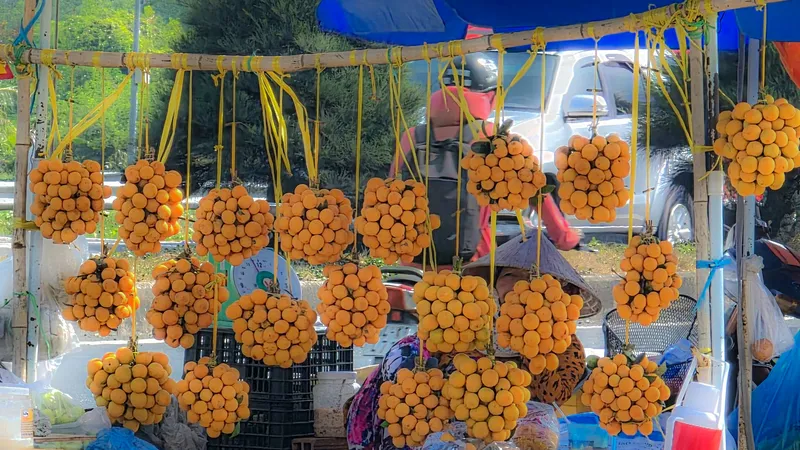 Lần đầu tổ chức ngày hội ẩm thực trái thanh trà ở Vĩnh Long