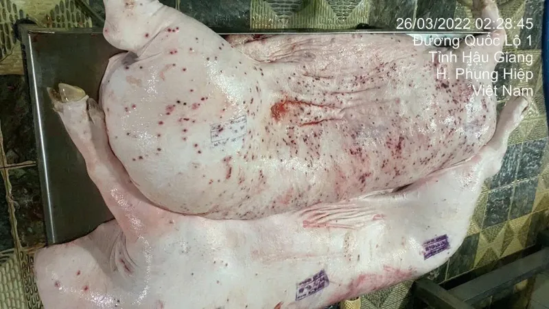 Vụ cửa hàng bị tố "tuồn" thịt bẩn ra thị trường: Đề nghị Hậu Giang phối hợp xác minh hình ảnh
