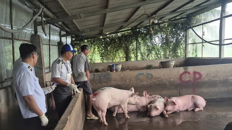 Kết quả kiểm tra lò giết mổ cho cửa hàng CP Fresh Shop tại Sóc Trăng