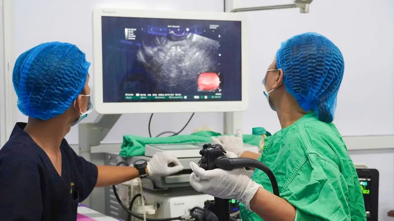 Điều trị thành công bệnh nang giả tụy bằng stent LAMS đầu tiên tại ĐBSCL