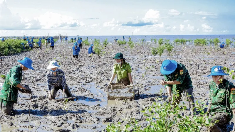 Cần Thơ triển khai trồng rừng, thả 3 triệu con giống về tự nhiên