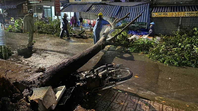 Xã Phú Giáo (TPHCM): Mưa lớn, cây ngã ngổn ngang trên đường