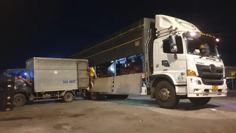 Gấp rút hoàn chỉnh phương án mở cửa trở lại chợ đầu mối Thủ Đức ​