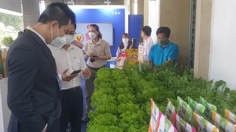 Động lực hợp tác liên vùng