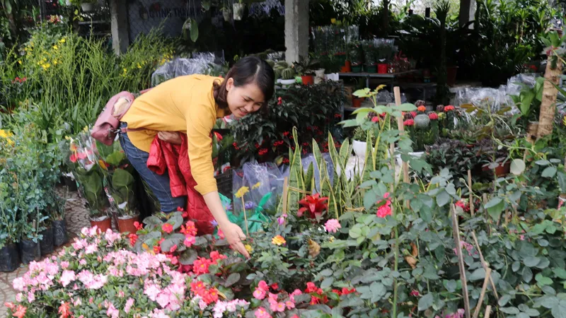 Người dân đi mua hoa trang trí ngày tết 