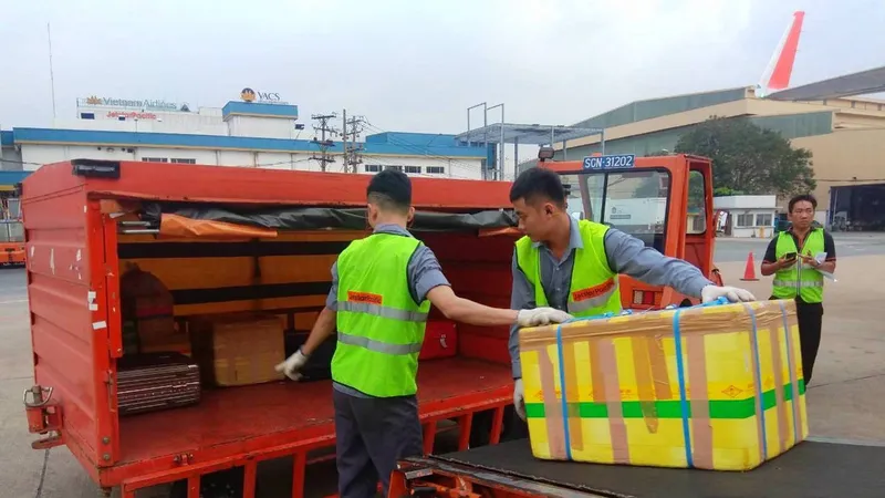 Nhân viên bốc xếp tại sân bay Tân Sơn Nhất. Ảnh minh họa