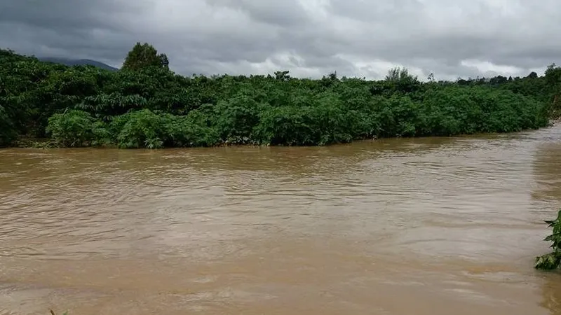 Mưa lớn kèm lũ gây ngập nhiều vùng cà phê, lúa tại Lâm Đồng 