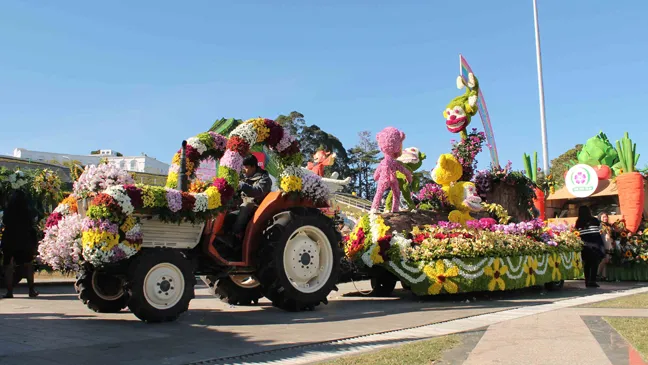 Công bố thời điểm tổ chức Festival hoa Đà Lạt lần thứ VII-2017 